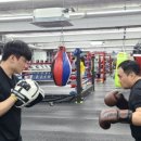 해운대 강남복싱클럽 이미지