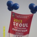 2013 서울국제(동아)마라톤 완주 후기 이미지