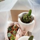 카페두드림 이미지