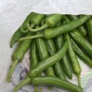 양곡농장 이미지