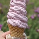 유학농장 이미지