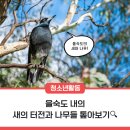 에코식물 생태도감 | [2025 생태센터 서포터즈] &lt;을숙도&gt;새의 터전, 나무들 톺아보기🔍