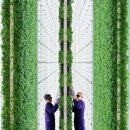 예스라농장 이미지