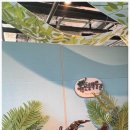 여주곤충박물관 이미지