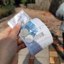 훈데르트바서파크 이미지