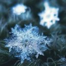 진리의 비상 이미지