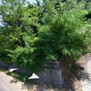 두곡해수욕장 이미지