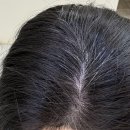 당안마을회관 | 홍대 미용실 앤오프 홍대점 뿌리염색
