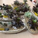 가족 힐링 원예 이미지