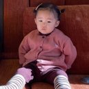 포레스트541 이미지