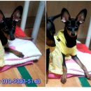 해랑방1 이미지