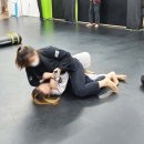 대일 합기도 체육관 이미지