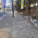 용인 동천초등학교 경기중앙신문