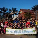 도산초등학교 이미지