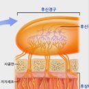삼가3통 네이버블로그