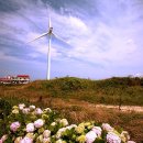 하늘바다 민박 이미지