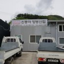 신동아양봉산업 이미지