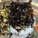 땅스부대찌개광주신현점 | [경기광주 맛집] 닭갈비 좋아하면 무조건 가야 할 신현동 맛집 "오투닭갈비&부대찌개" 광주오포신현점 후기