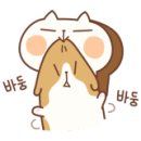 엠에스카오디오 이미지