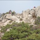 장군터(2) Daum카페