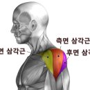 DY휘트니스 | 잠실새내 헬스장 잠실새내 PT DY피트니스 3회차 후기