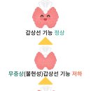팀터틀랫유성