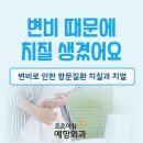 장예항 이미지