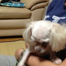 (주)이웃메디컬 이미지