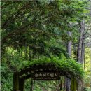 장태울다리 이미지