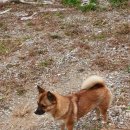 참좋은농장 이미지