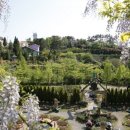 광광 농원 이미지