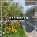 웰빙베이커리 - 제주시 | 광교 웰빙타운 근처 대형 베이커리 카페 르디투어 후기! 퀸아망 맛집!!!
