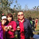 해오름농장-1 이미지