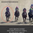 공주목장 이미지