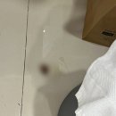 롤모델성당점 | 호치민 찍먹 경유 여행