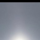 석양 속 생명의 날 이미지