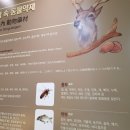 봄한의원 이미지