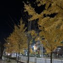 엄대식이비인후과의원 이미지