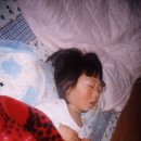 박애어린이집 이미지