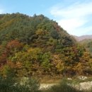 미산분교 캠핑장 이미지