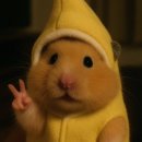 꼬멍쓰멍 이미지