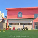 두류댕댕