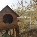 초록별숲유치원 이미지