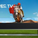 TV, 스피커광고 보면 느끼는점. 이미지