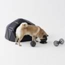 강아지집 이미지