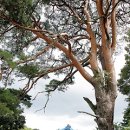 길곡마을1 이미지