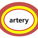 맑은서울의원 이미지