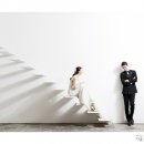 스튜디오창 Daum카페