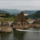 하늘가축병원 이미지