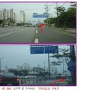 목련초등학교 이미지